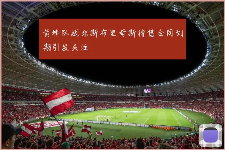 黄蜂队迈尔斯布里奇斯待售合同到期引发关注